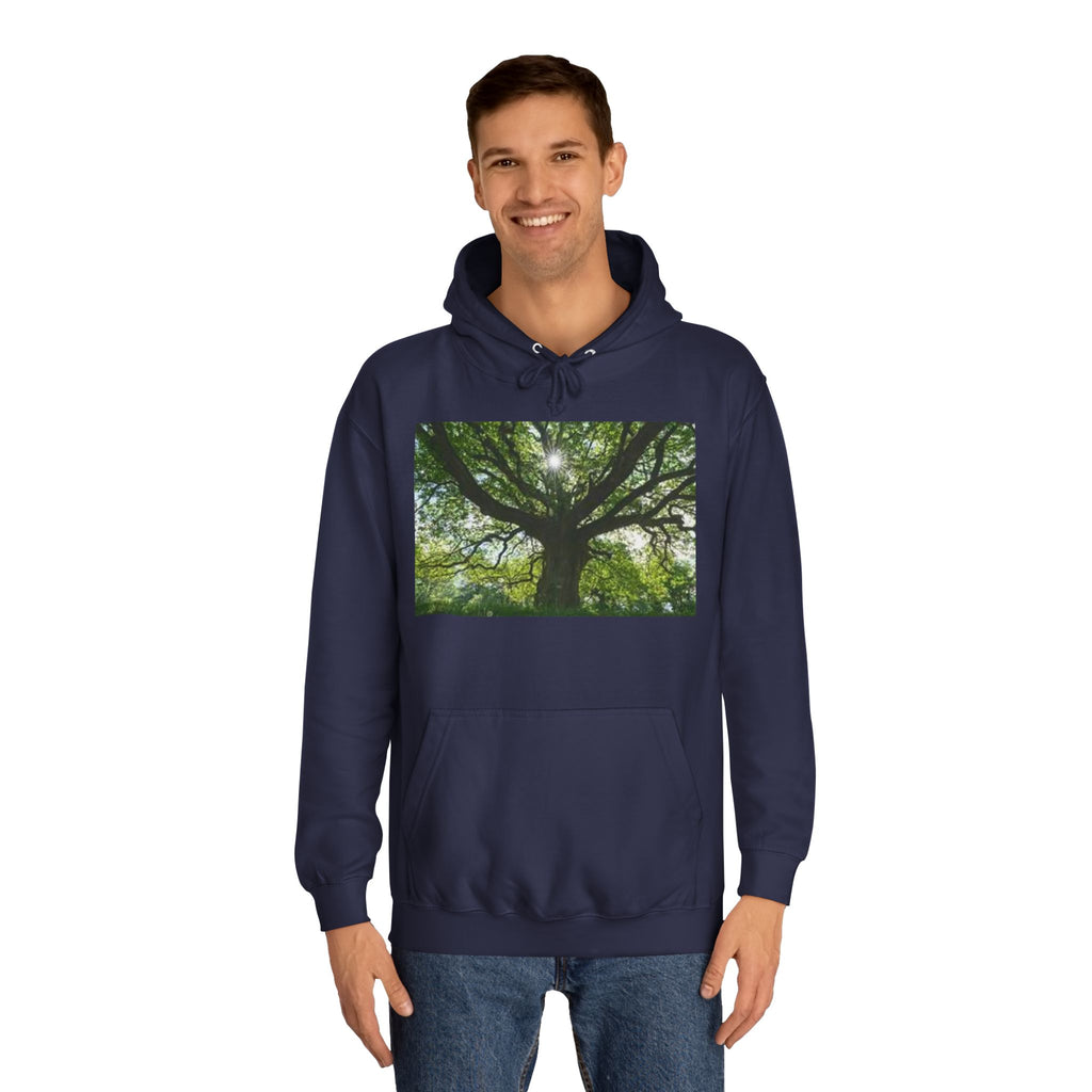 Sunlit Oak Tree Hoodie | Forest Nature Photography, Green Tree Sweatshirt