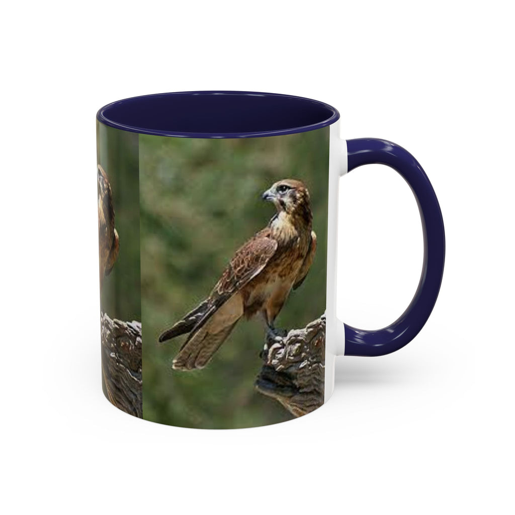 Kestrel Falcon Photo Mug | Accent Coffee Mug 11oz 15oz
