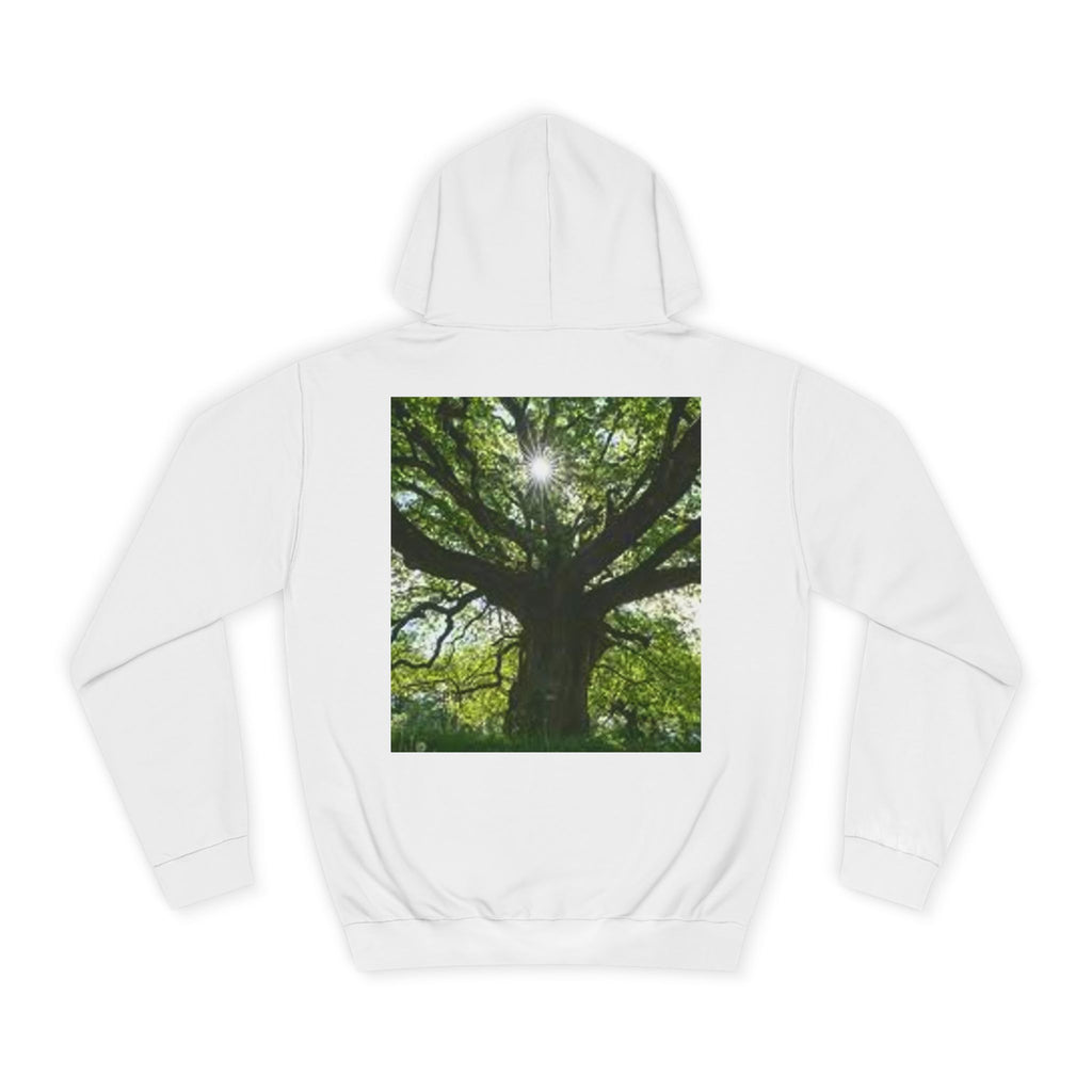 Sunlit Oak Tree Hoodie | Forest Nature Photography, Green Tree Sweatshirt