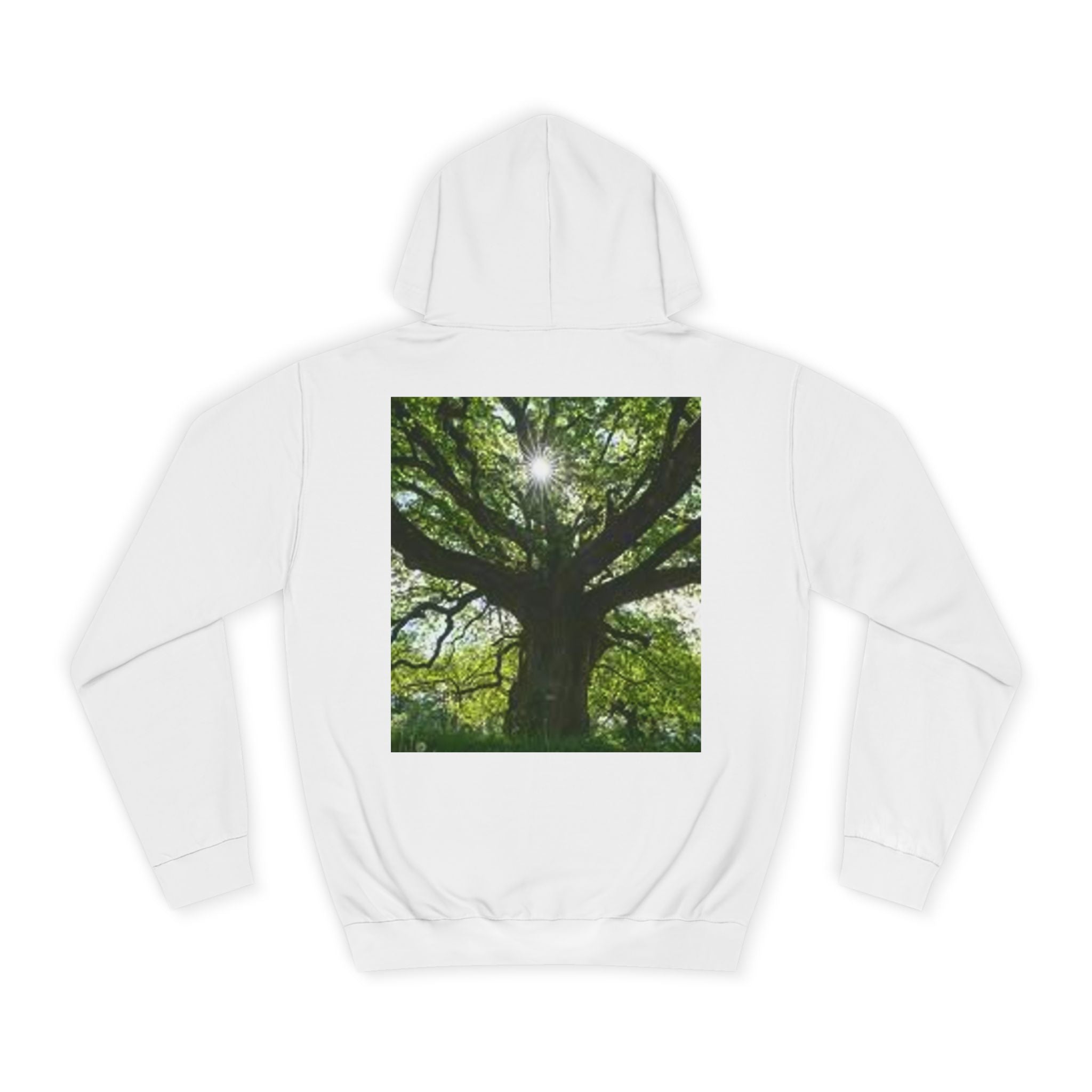 Sunlit Oak Tree Hoodie | Forest Nature Photography, Green Tree Sweatshirt
