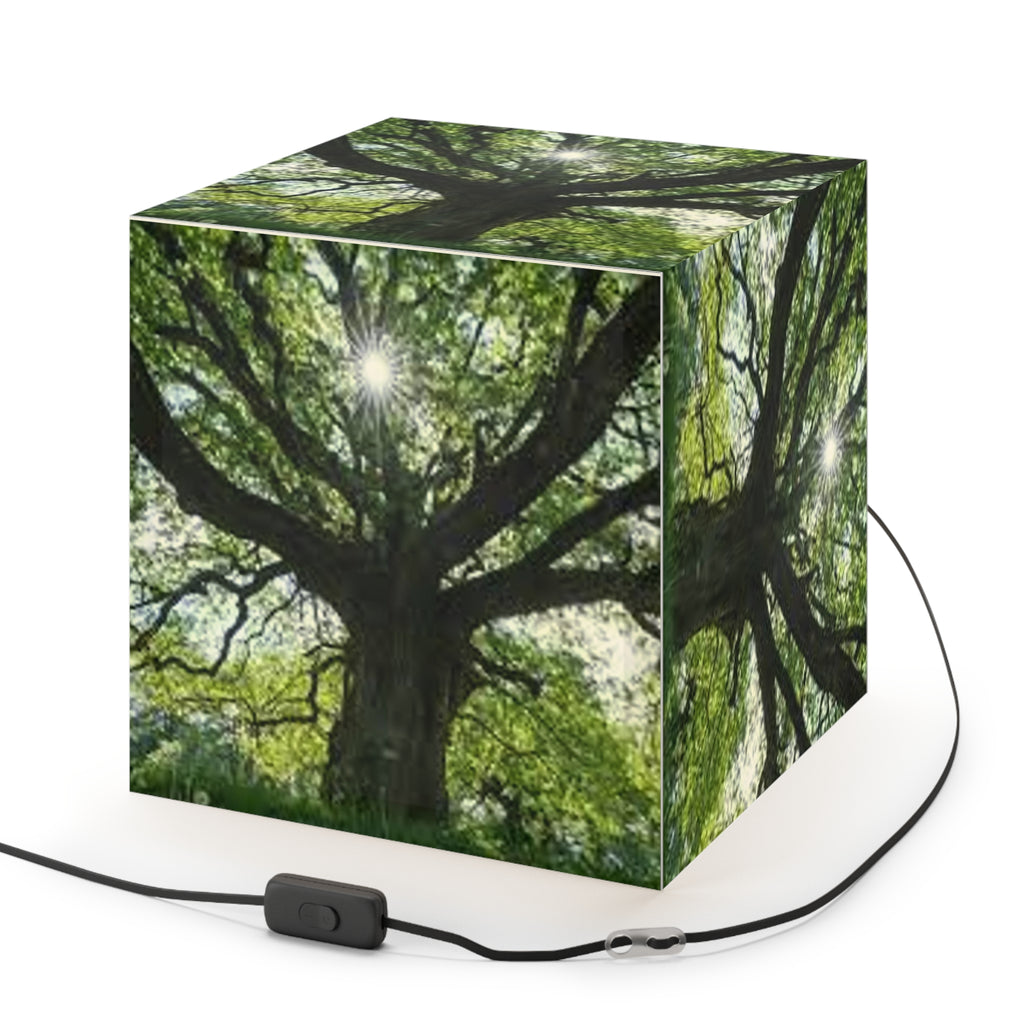 Sunlit Oak Tree Light Cube Lamp | Nature Photography Pendant