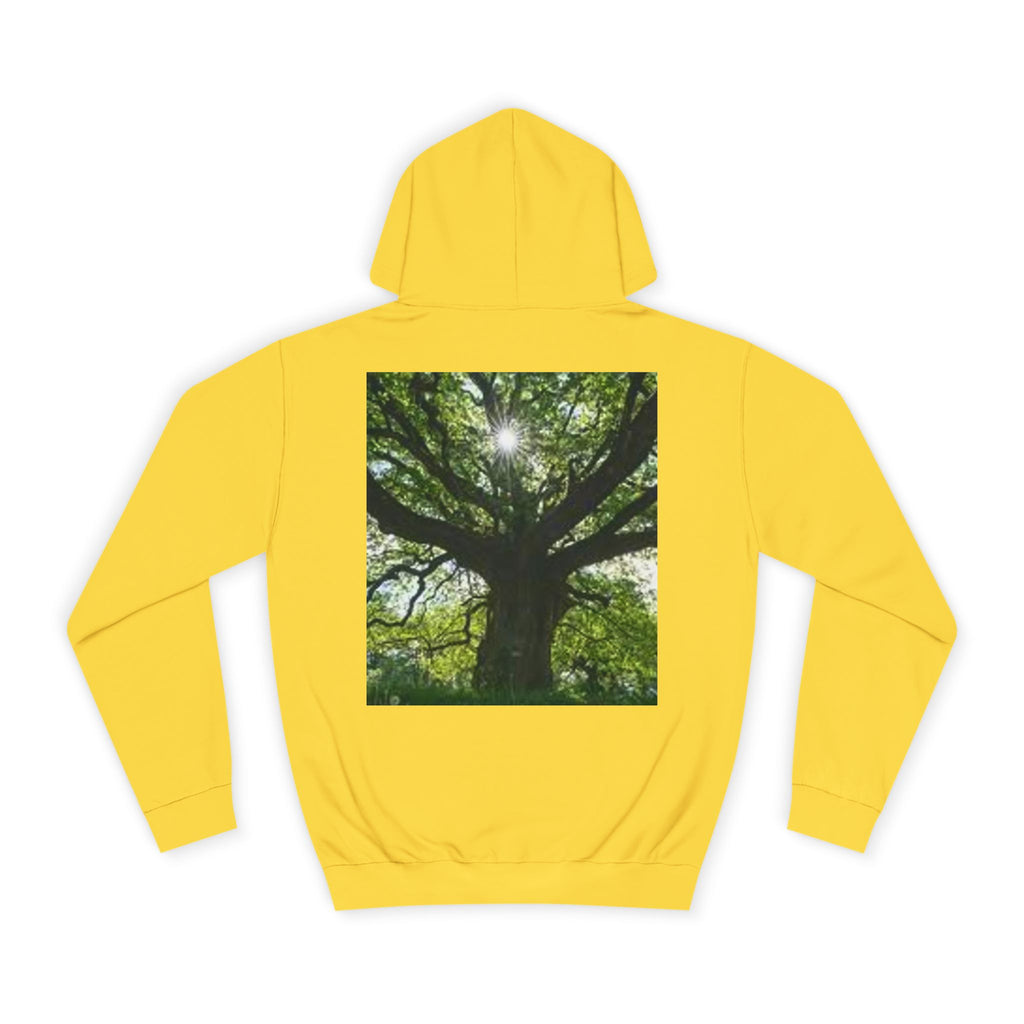 Sunlit Oak Tree Hoodie | Forest Nature Photography, Green Tree Sweatshirt