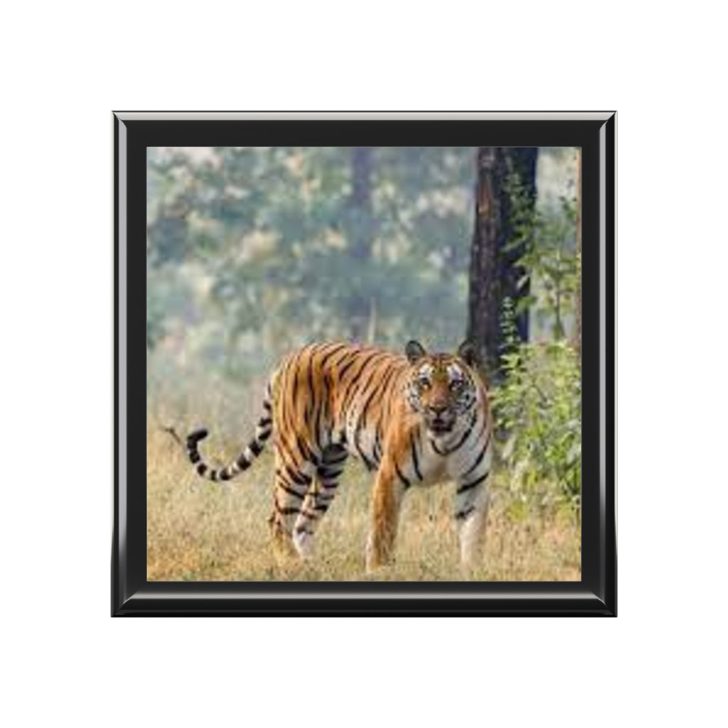 Bengal Tiger Portrait Jewelry Box | Black Lacquer Trinket Storage