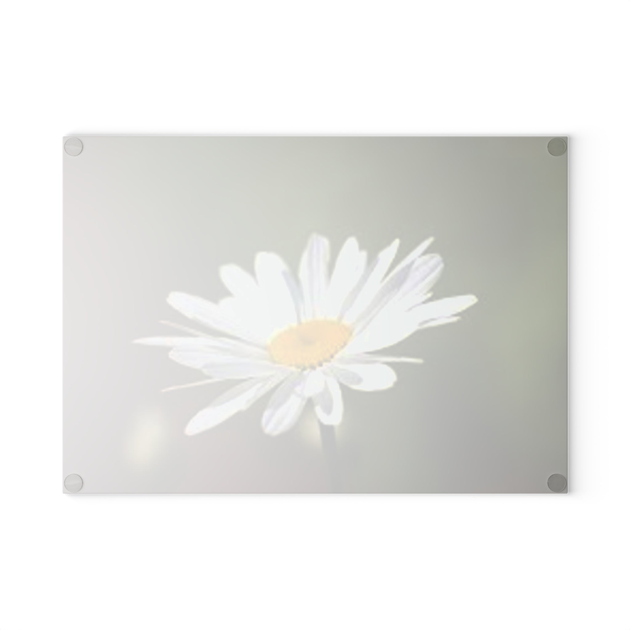 White Daisy Photograph Glass Cutting Board | Floral Kitchen Decor