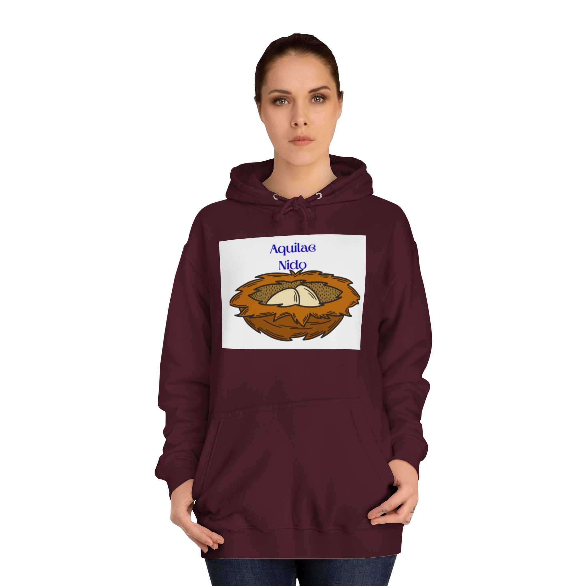 Aquilae Nido Nest Illustration Hoodie | College Crest Style