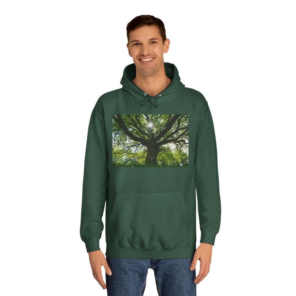 Sunlit Oak Tree Hoodie | Forest Nature Photography, Green Tree Sweatshirt