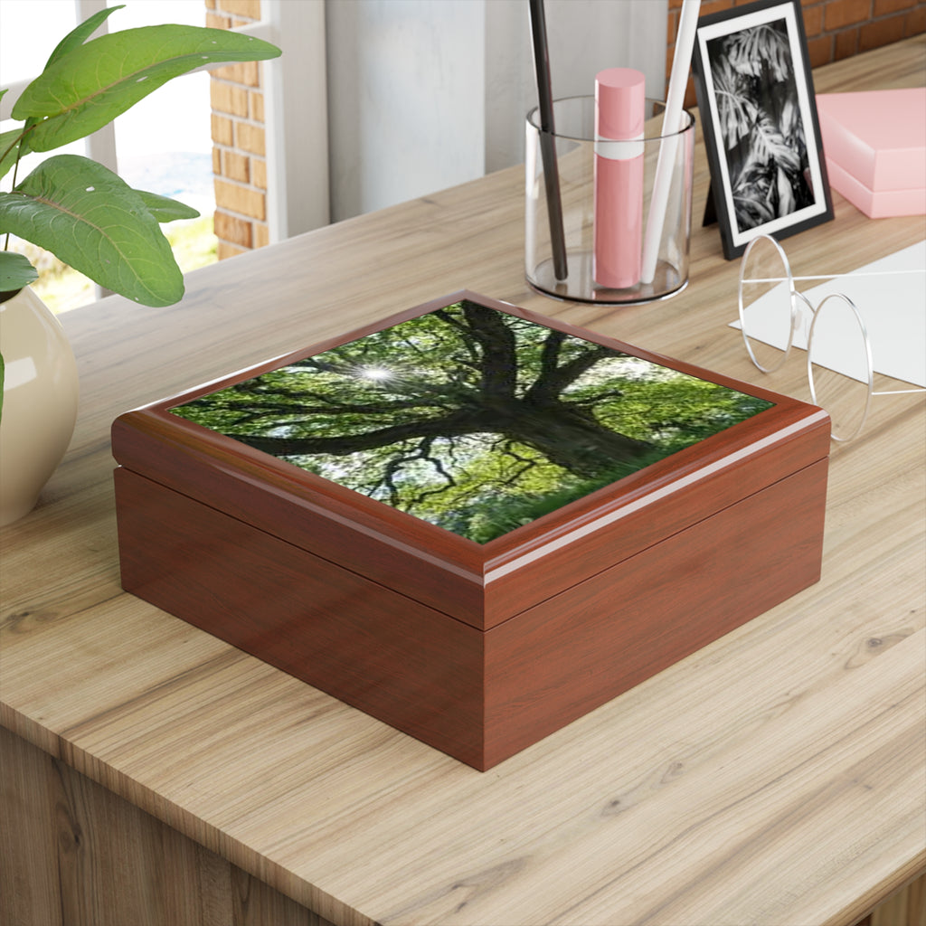 Sunlit Oak Tree Jewelry Box | Nature Woodland Keepsake