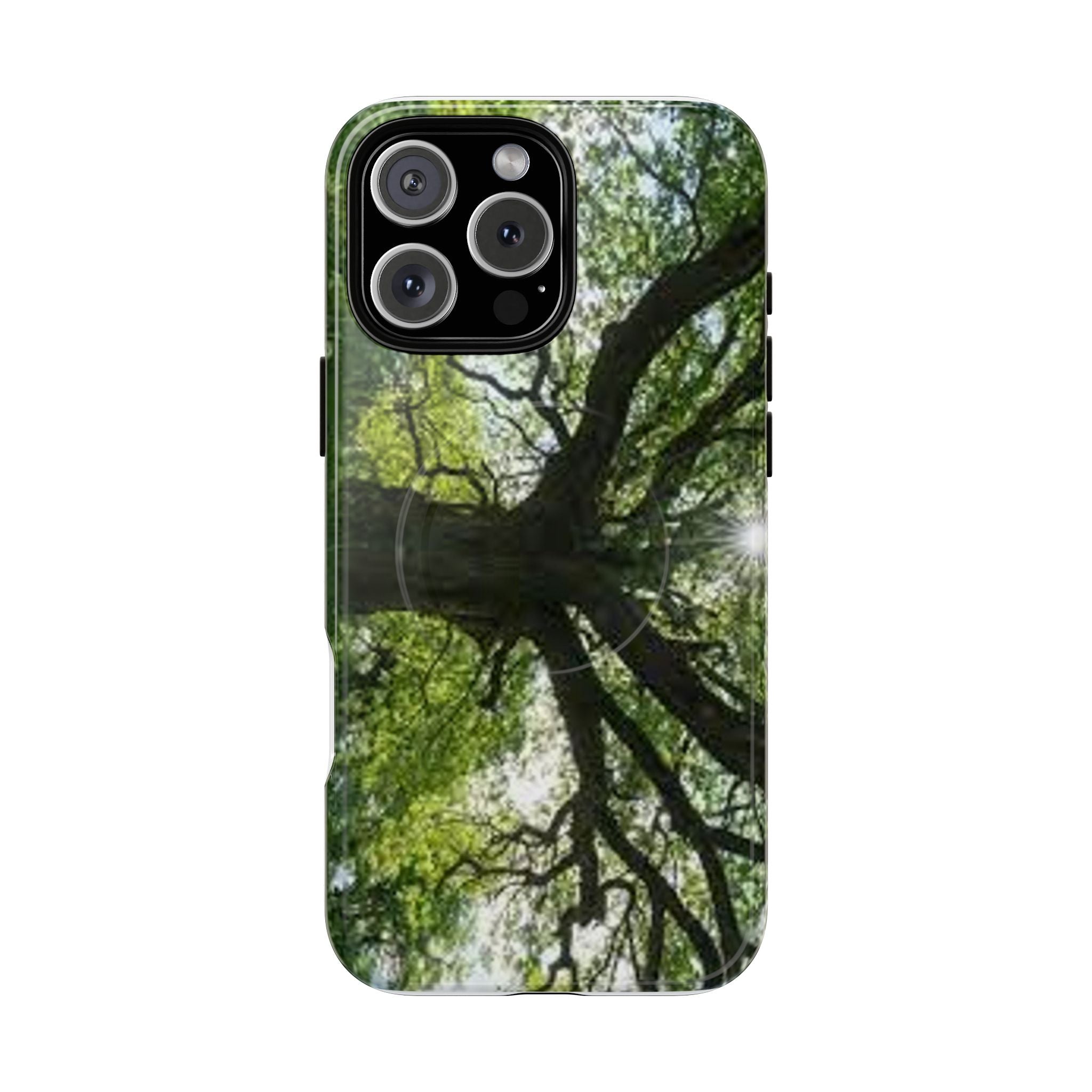 Sunlit Oak Tree Phone Case | Tough Magnetic Case