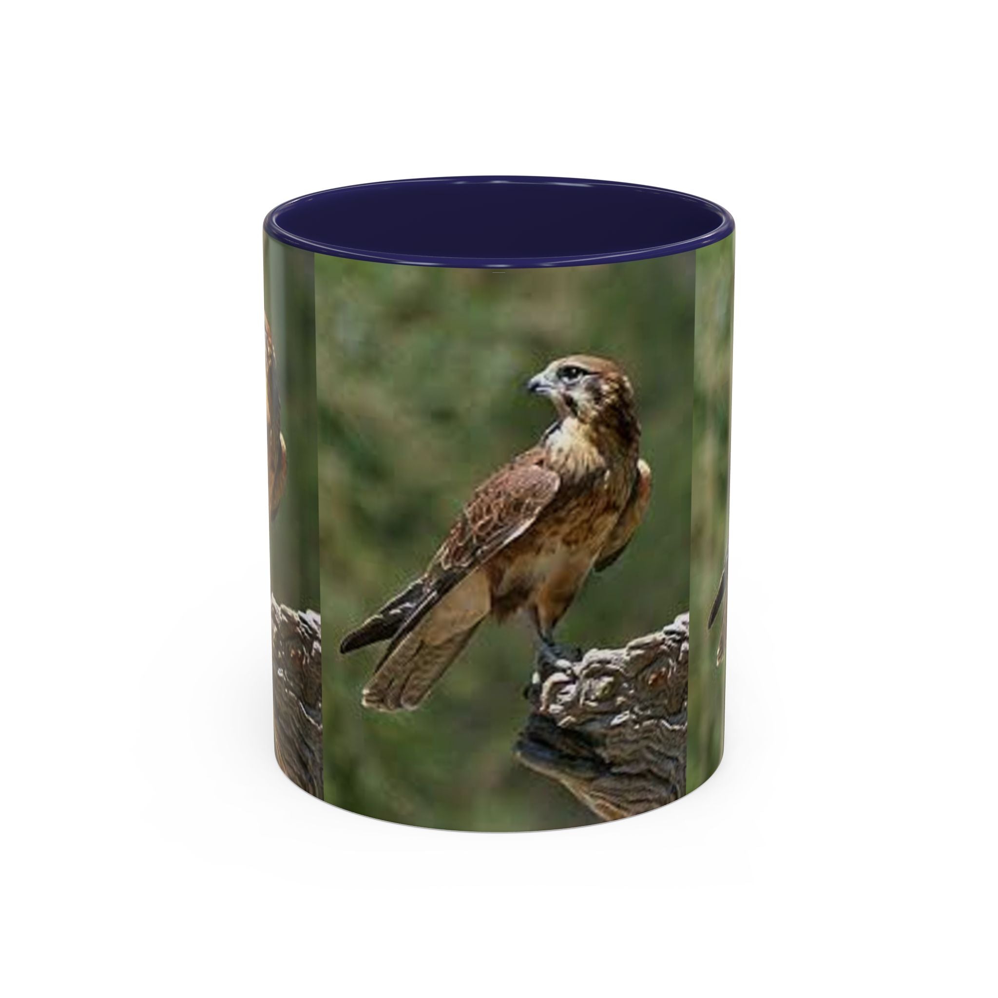 Kestrel Falcon Photo Mug | Accent Coffee Mug 11oz 15oz