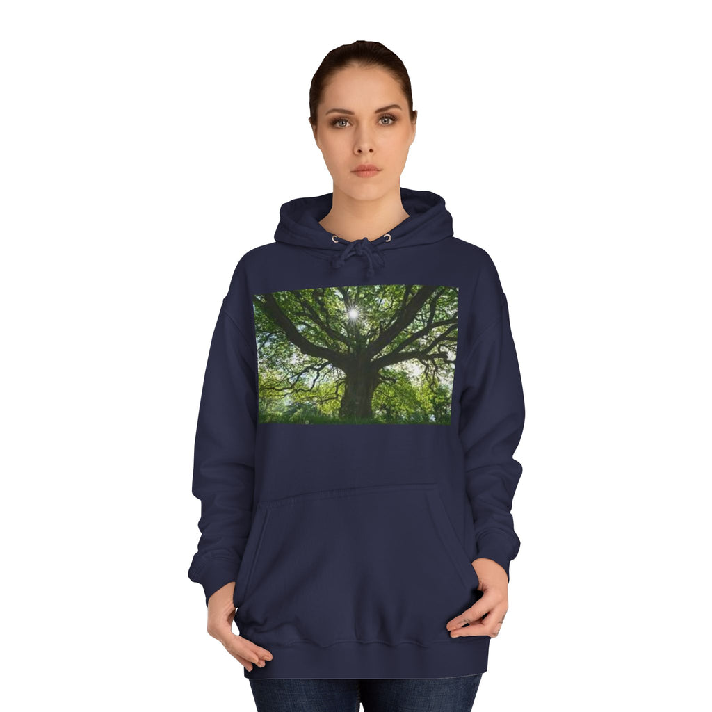 Sunlit Oak Tree Hoodie | Forest Nature Photography, Green Tree Sweatshirt
