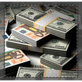 Stacked Cash Print Woven-Style Coverlet | Money Pattern Coverlet
