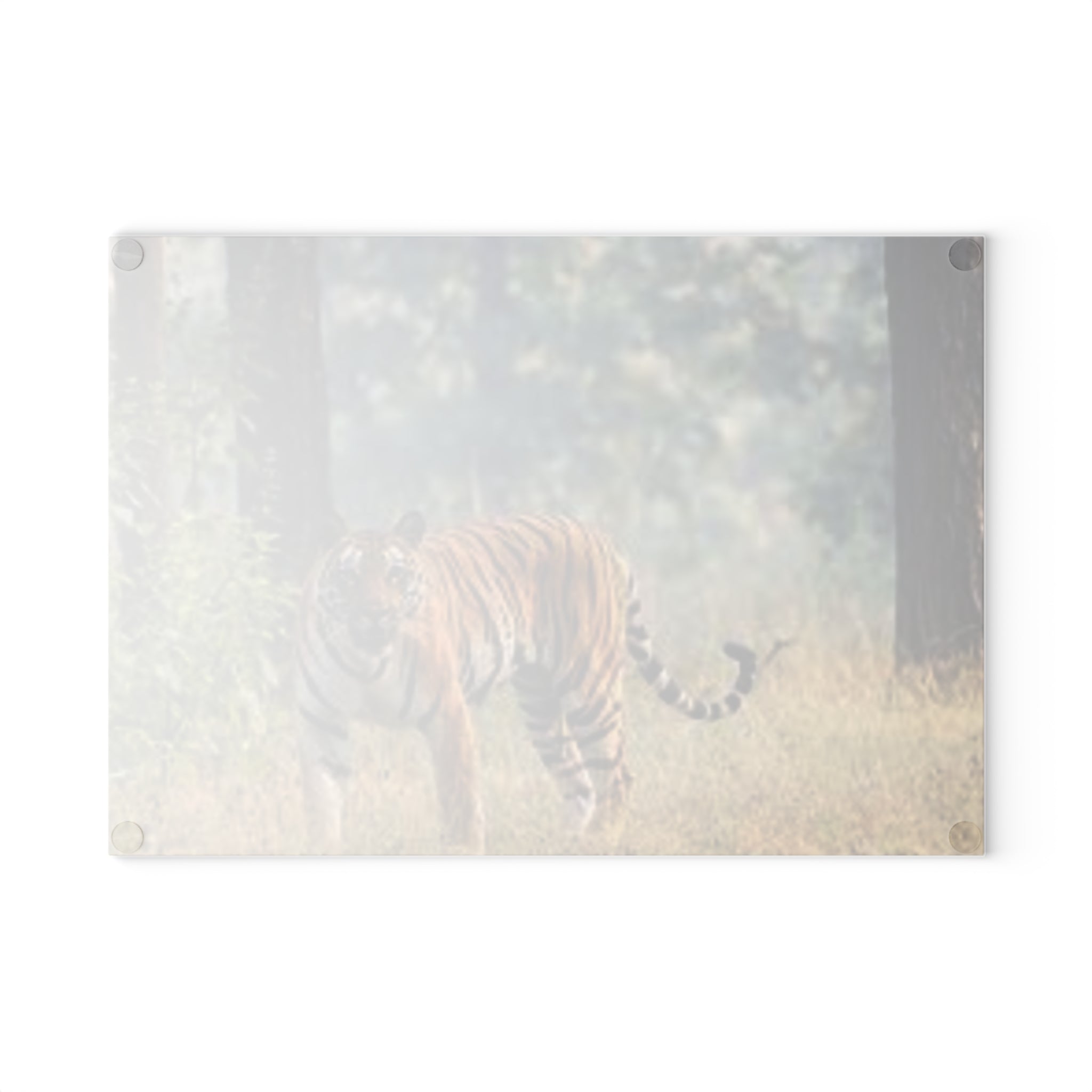 Bengal Tiger Photography Glass Cutting Board | Wildlife Kitchen Décor