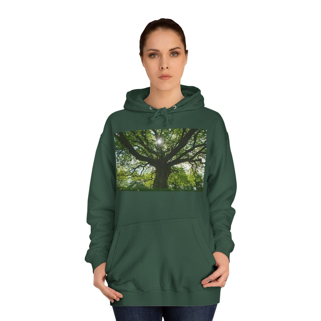 Sunlit Oak Tree Hoodie | Forest Nature Photography, Green Tree Sweatshirt