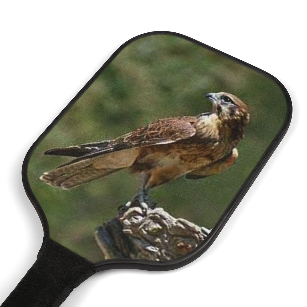Kestrel Bird Pickleball Paddle