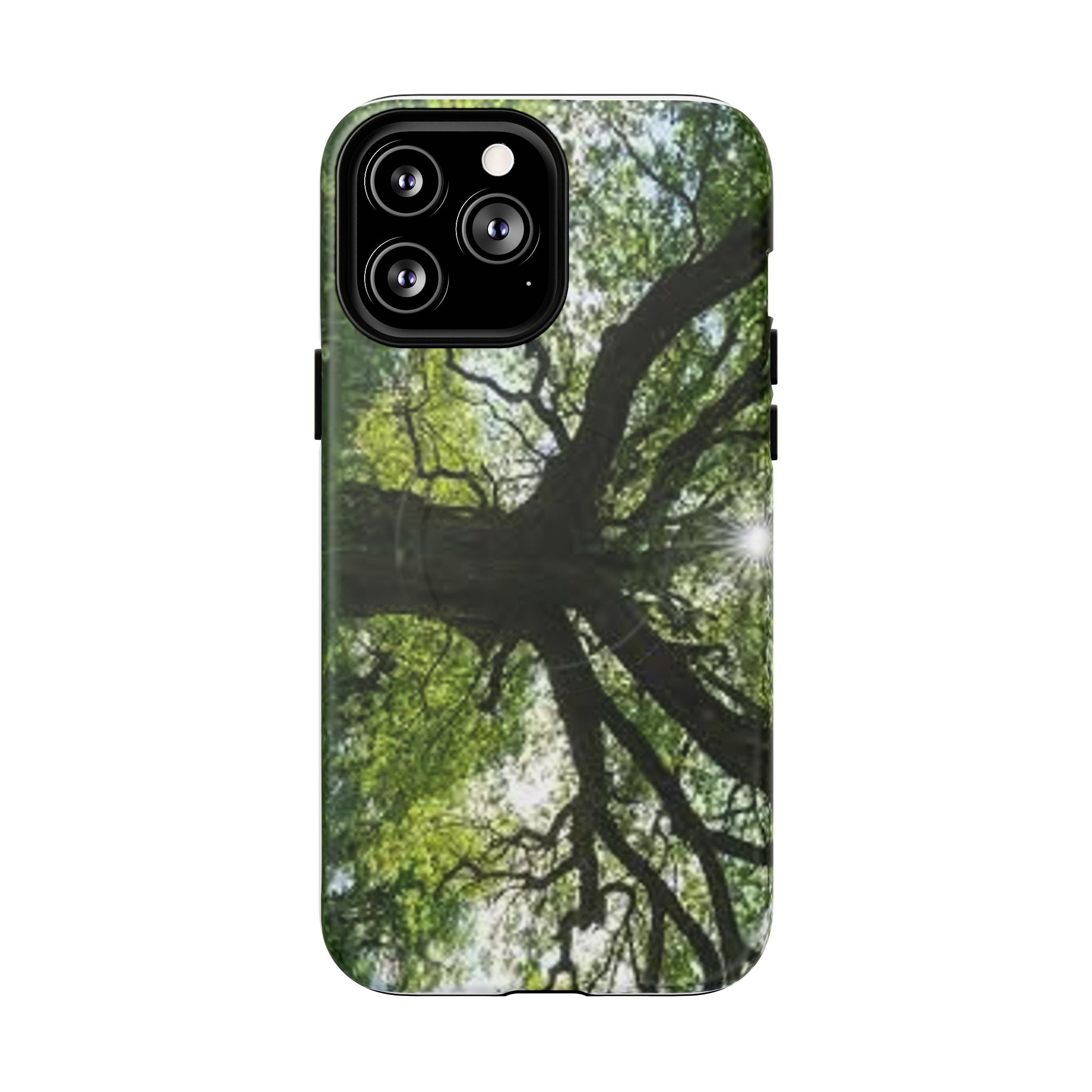 Sunlit Oak Tree Phone Case | Tough Magnetic Case