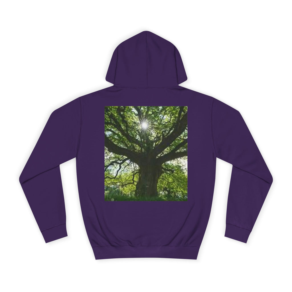 Sunlit Oak Tree Hoodie | Forest Nature Photography, Green Tree Sweatshirt
