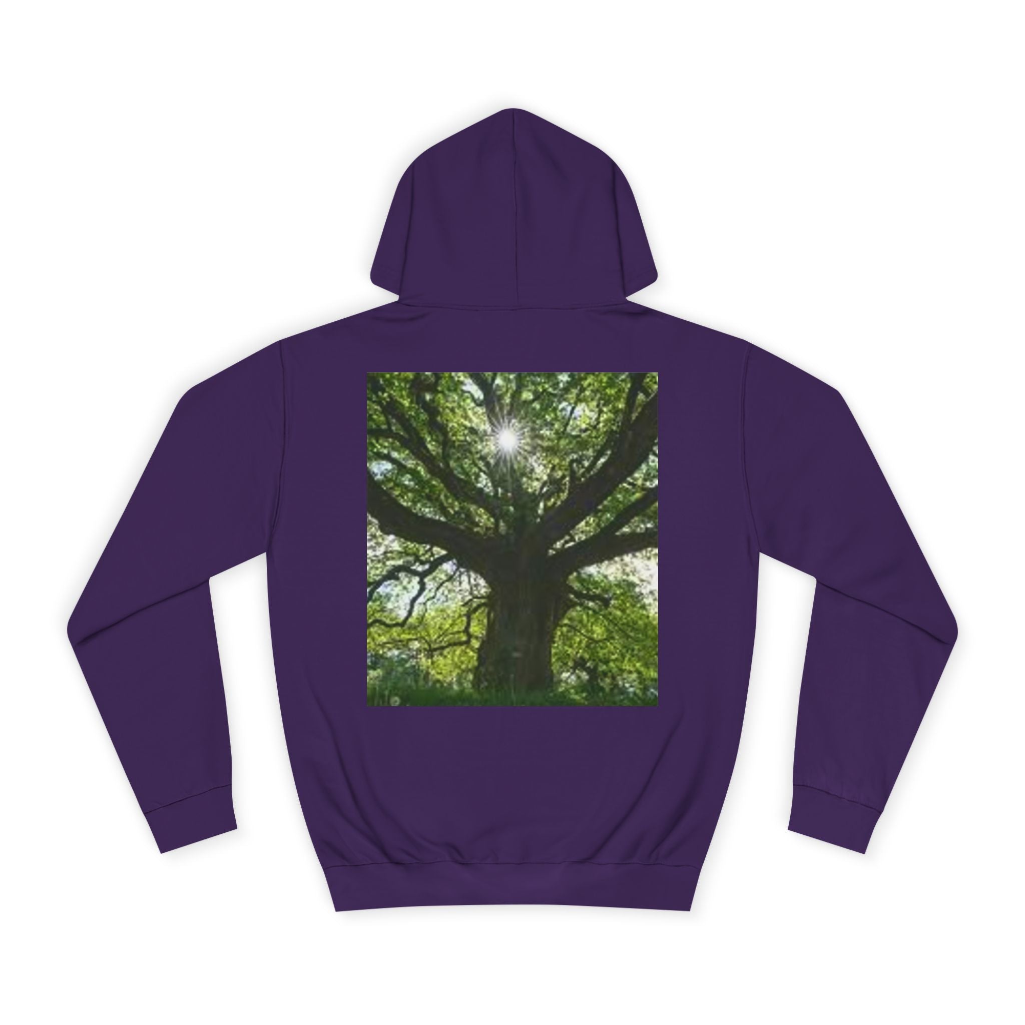 Sunlit Oak Tree Hoodie | Forest Nature Photography, Green Tree Sweatshirt
