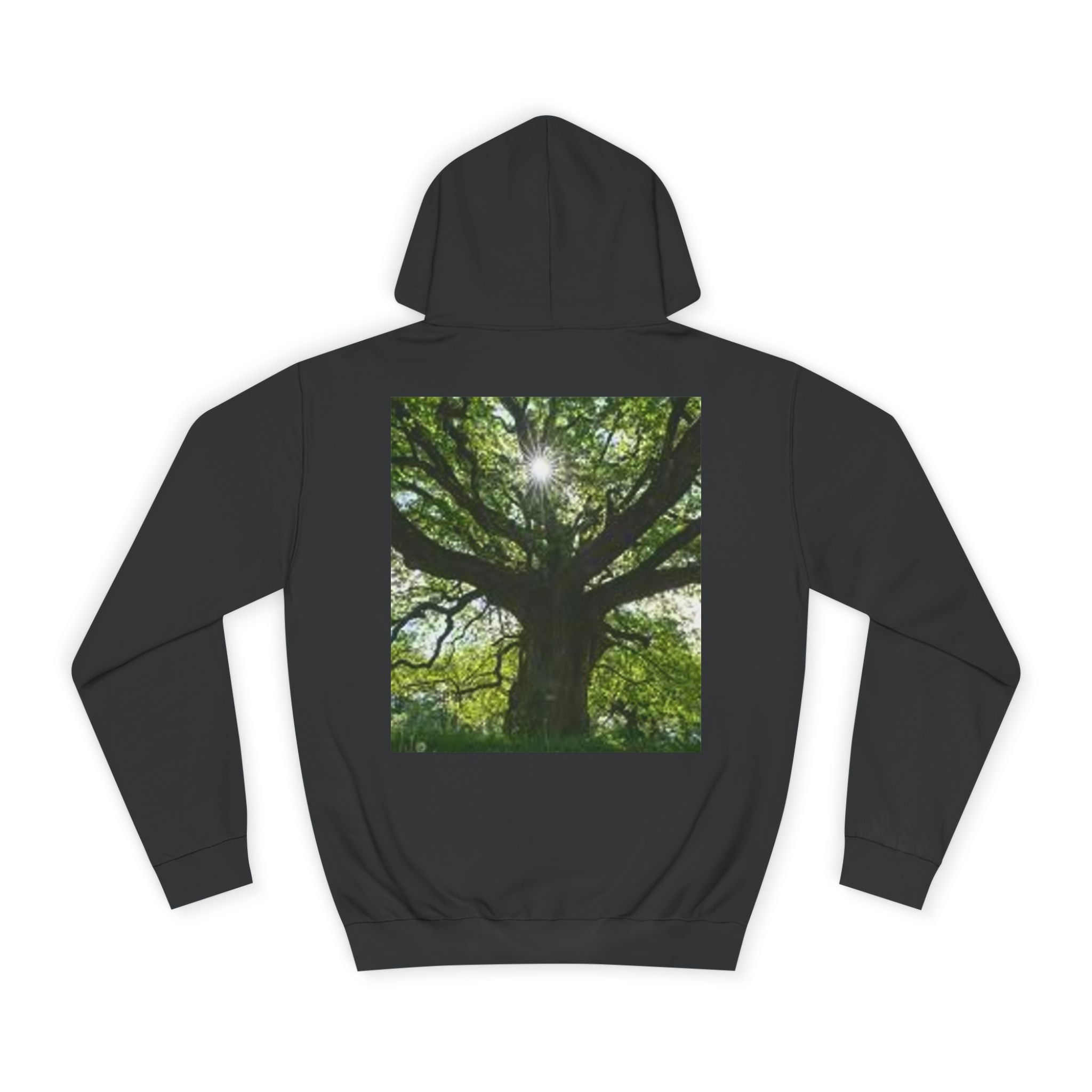 Sunlit Oak Tree Hoodie | Forest Nature Photography, Green Tree Sweatshirt