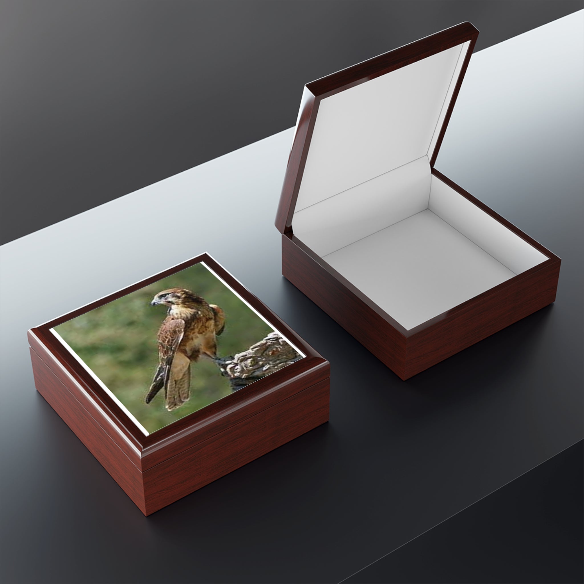 Brown Hawk Illustration Jewelry Box | Bird Photo Trinket Case