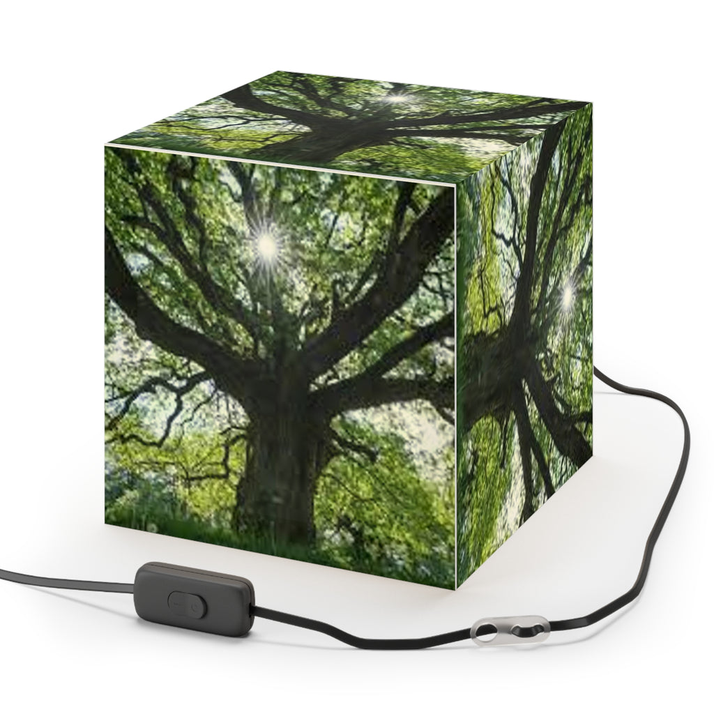 Sunlit Oak Tree Light Cube Lamp | Nature Photography Pendant