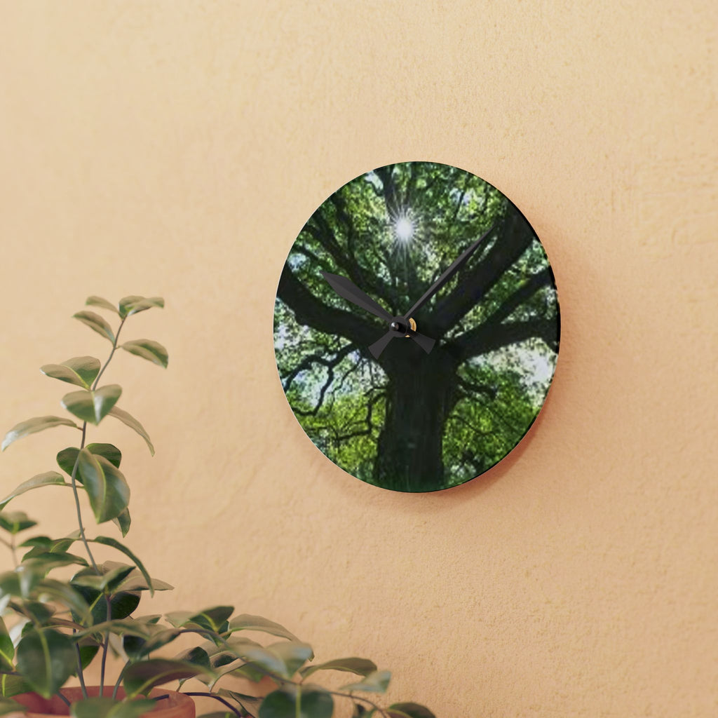 Sunlit Oak Tree Acrylic Wall Clock | Nature Forest Decor