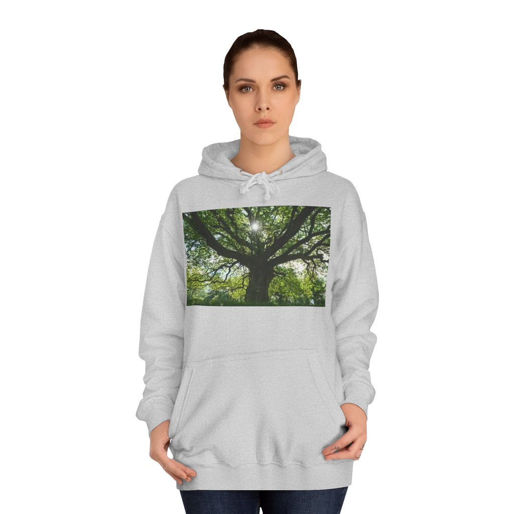 Sunlit Oak Tree Hoodie | Forest Nature Photography, Green Tree Sweatshirt