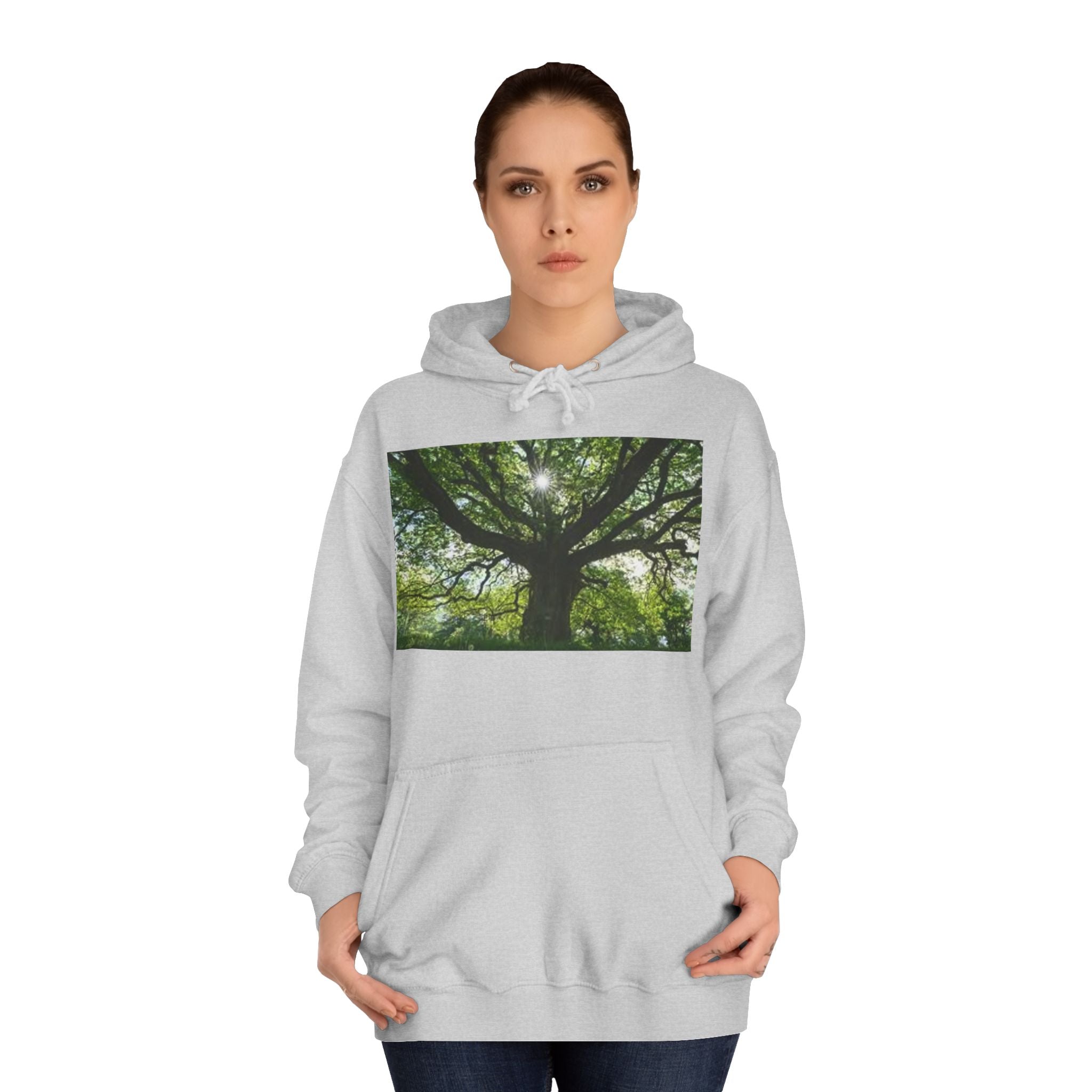 Sunlit Oak Tree Hoodie | Forest Nature Photography, Green Tree Sweatshirt