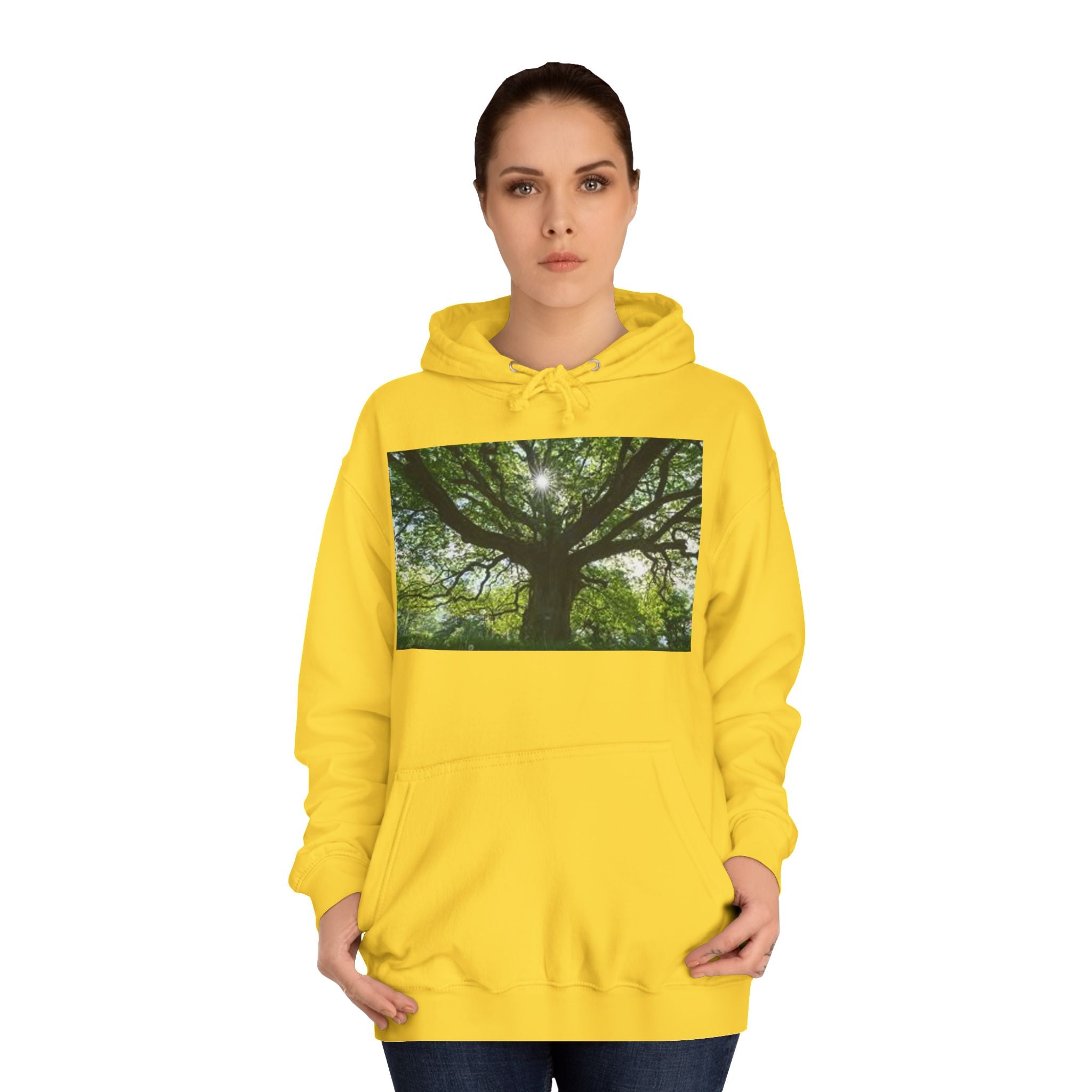 Sunlit Oak Tree Hoodie | Forest Nature Photography, Green Tree Sweatshirt