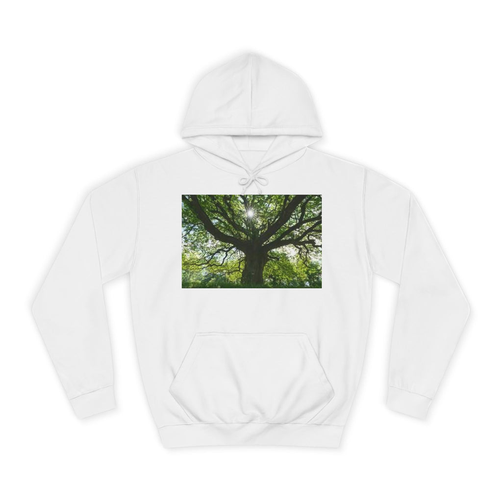 Sunlit Oak Tree Hoodie | Forest Nature Photography, Green Tree Sweatshirt