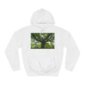 Sunlit Oak Tree Hoodie | Forest Nature Photography, Green Tree Sweatshirt