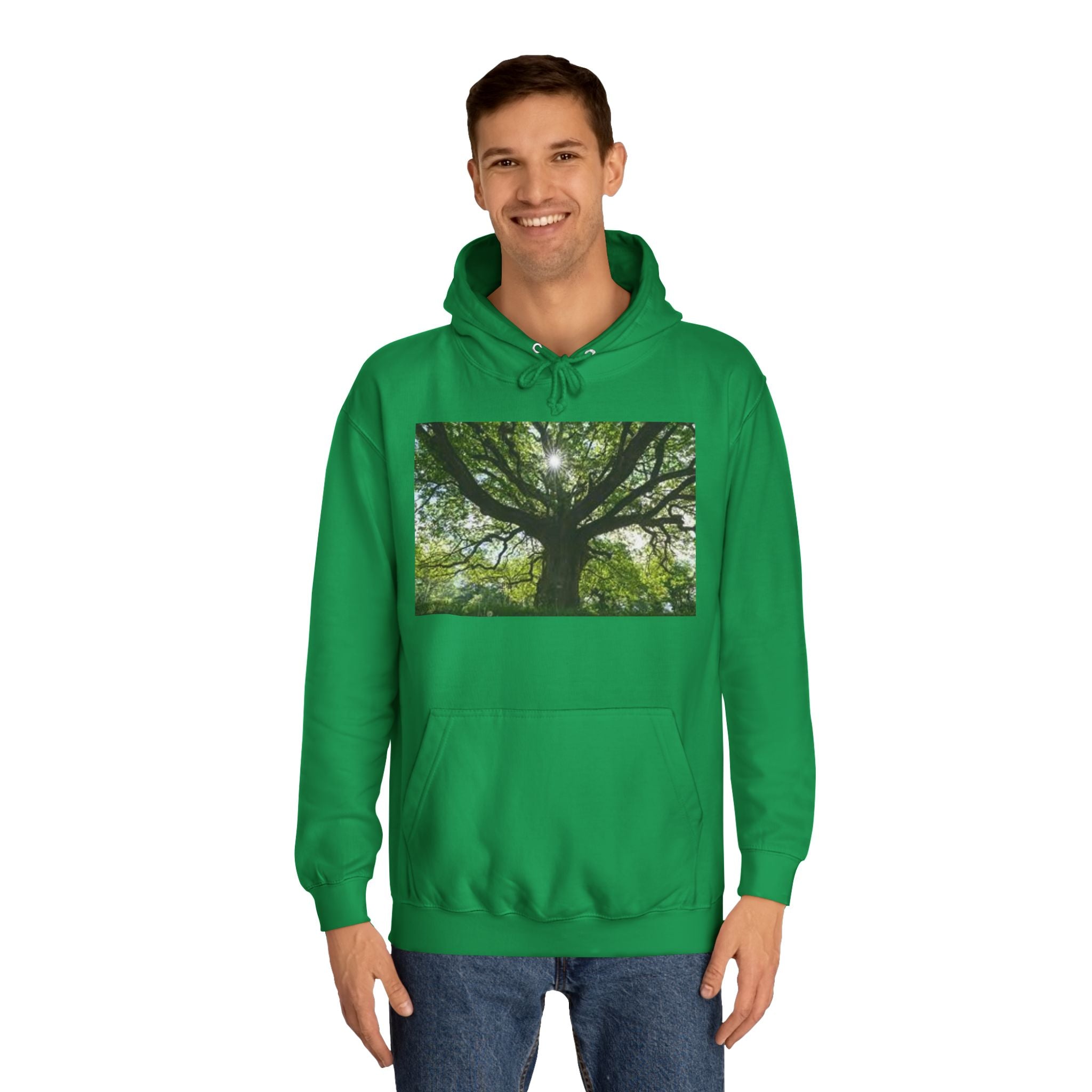 Sunlit Oak Tree Hoodie | Forest Nature Photography, Green Tree Sweatshirt