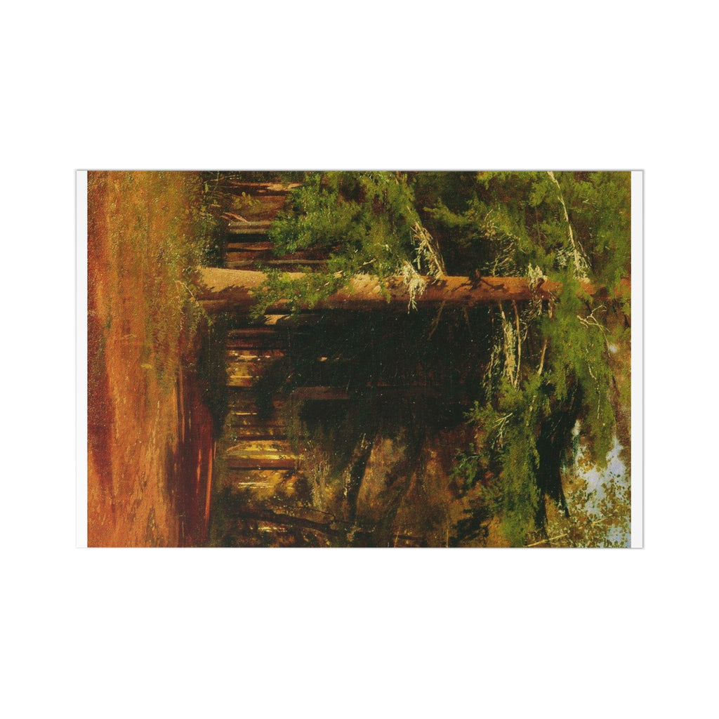 Forest Path Postcards | Vintage Landscape Art, Set of 7