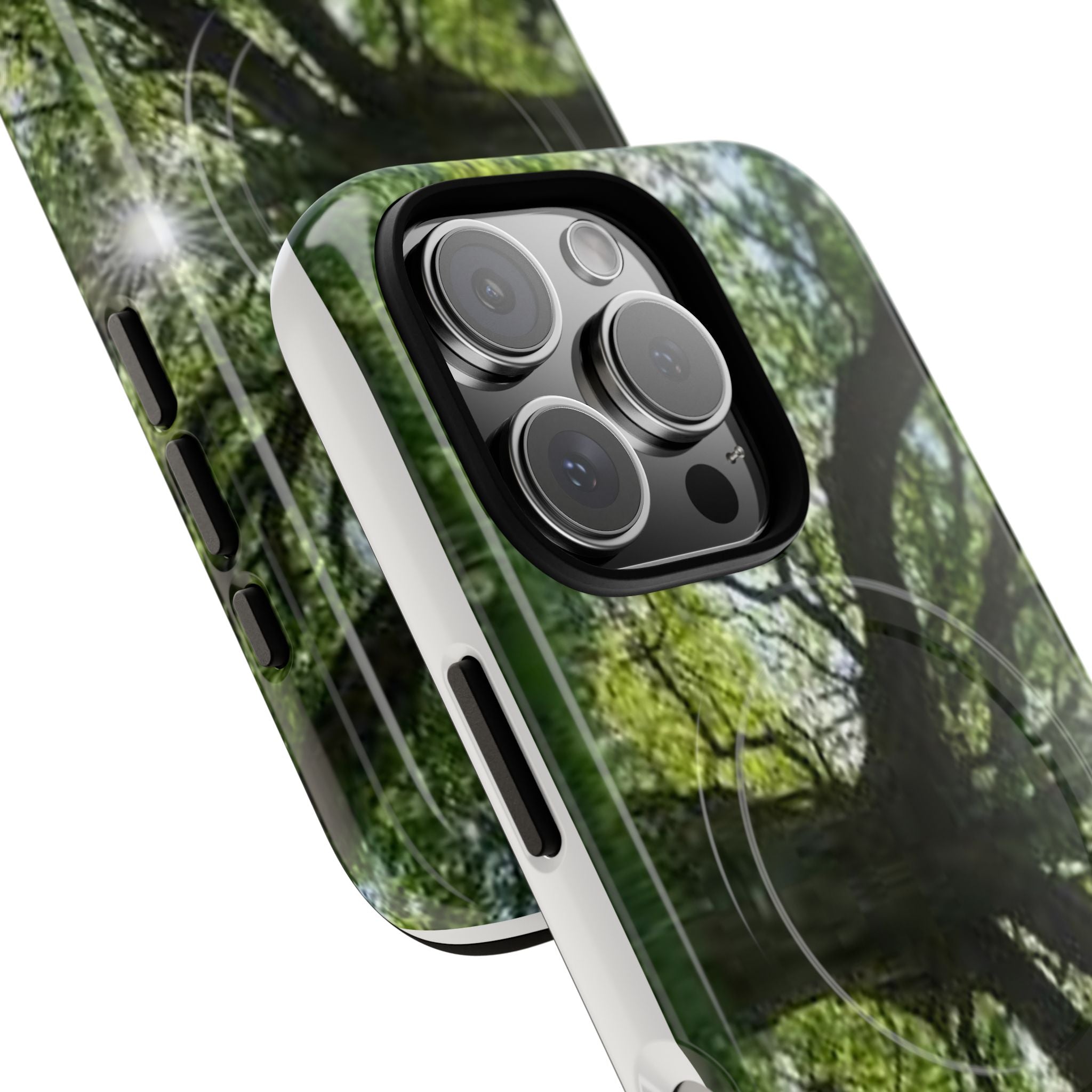 Sunlit Oak Tree Phone Case | Tough Magnetic Case