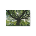 Sunlit Oak Tree Crib Sheet | Tree Canopy Nursery Bedding