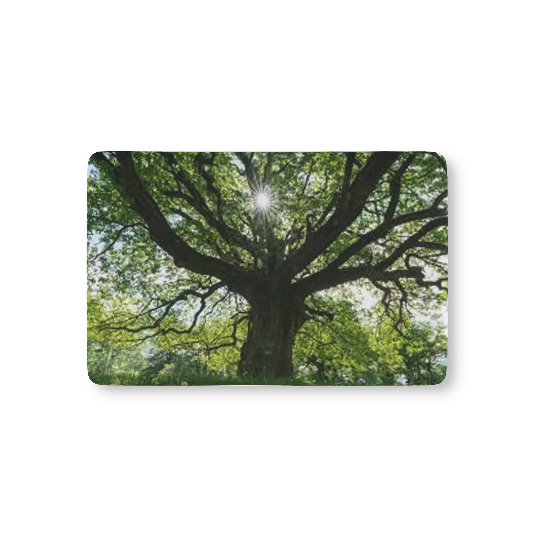 Sunlit Oak Tree Crib Sheet | Tree Canopy Nursery Bedding