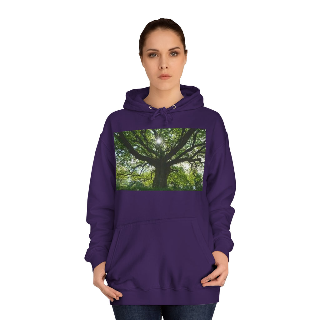 Sunlit Oak Tree Hoodie | Forest Nature Photography, Green Tree Sweatshirt