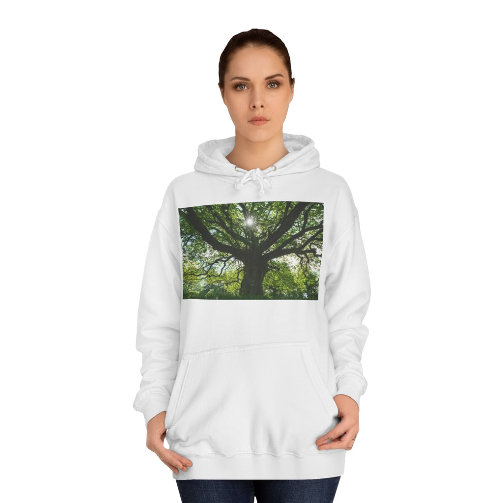 Sunlit Oak Tree Hoodie | Forest Nature Photography, Green Tree Sweatshirt