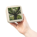 Sunlit Tree Photo Jewelry Travel Case | Compact Organizer for Rings, Earrings, Necklaces