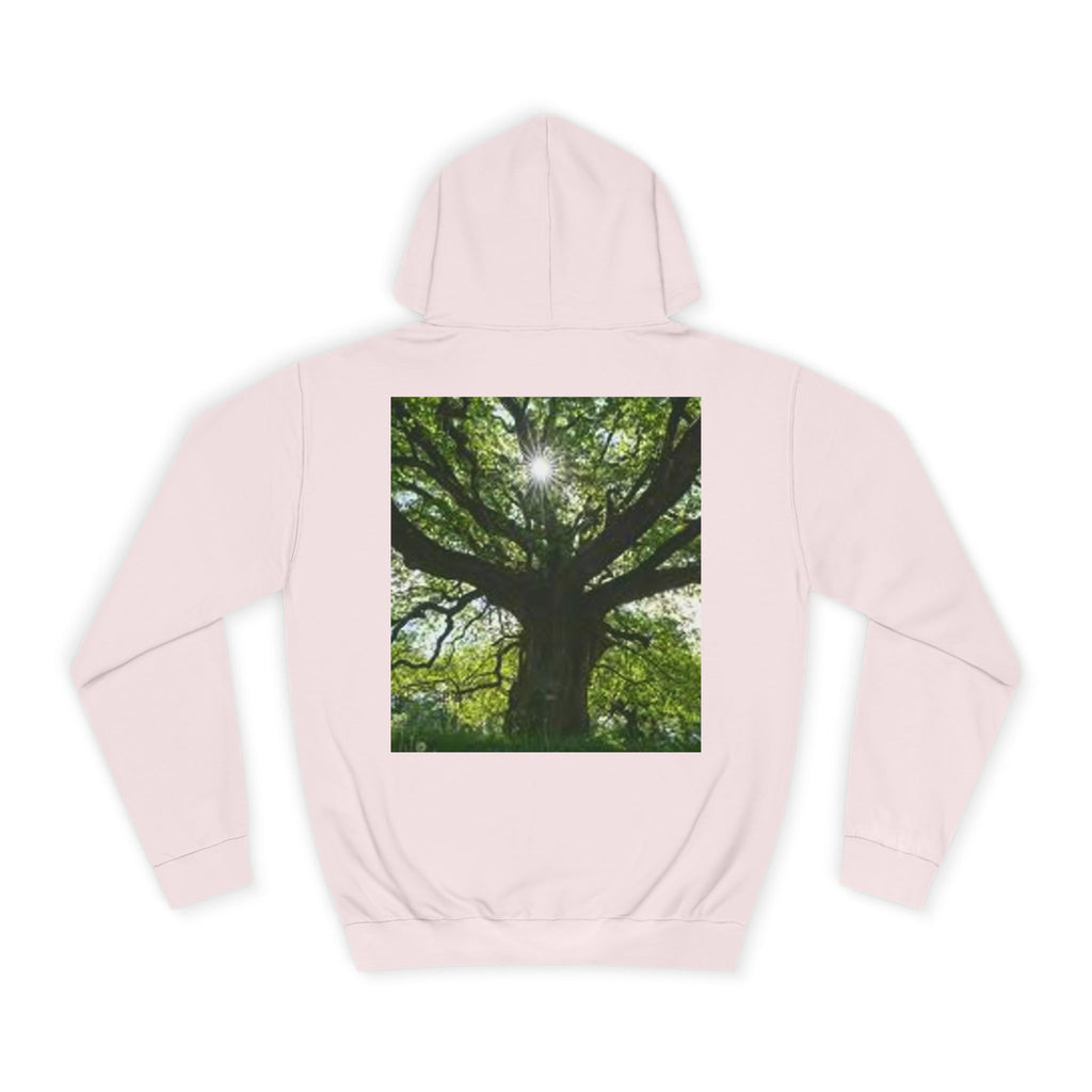 Sunlit Oak Tree Hoodie | Forest Nature Photography, Green Tree Sweatshirt