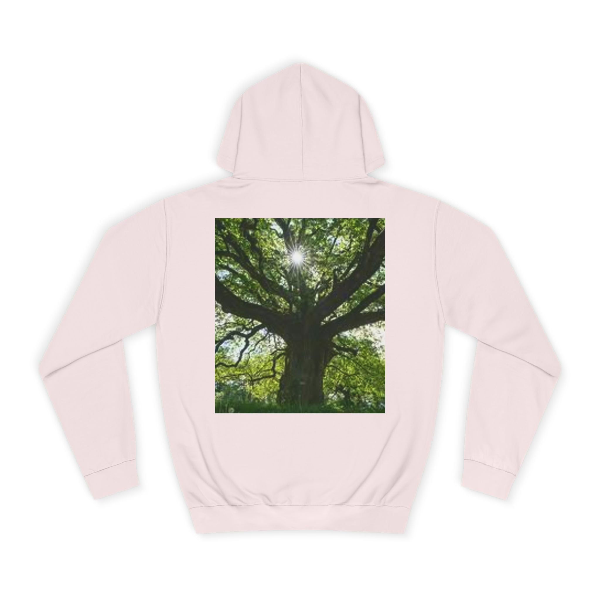Sunlit Oak Tree Hoodie | Forest Nature Photography, Green Tree Sweatshirt