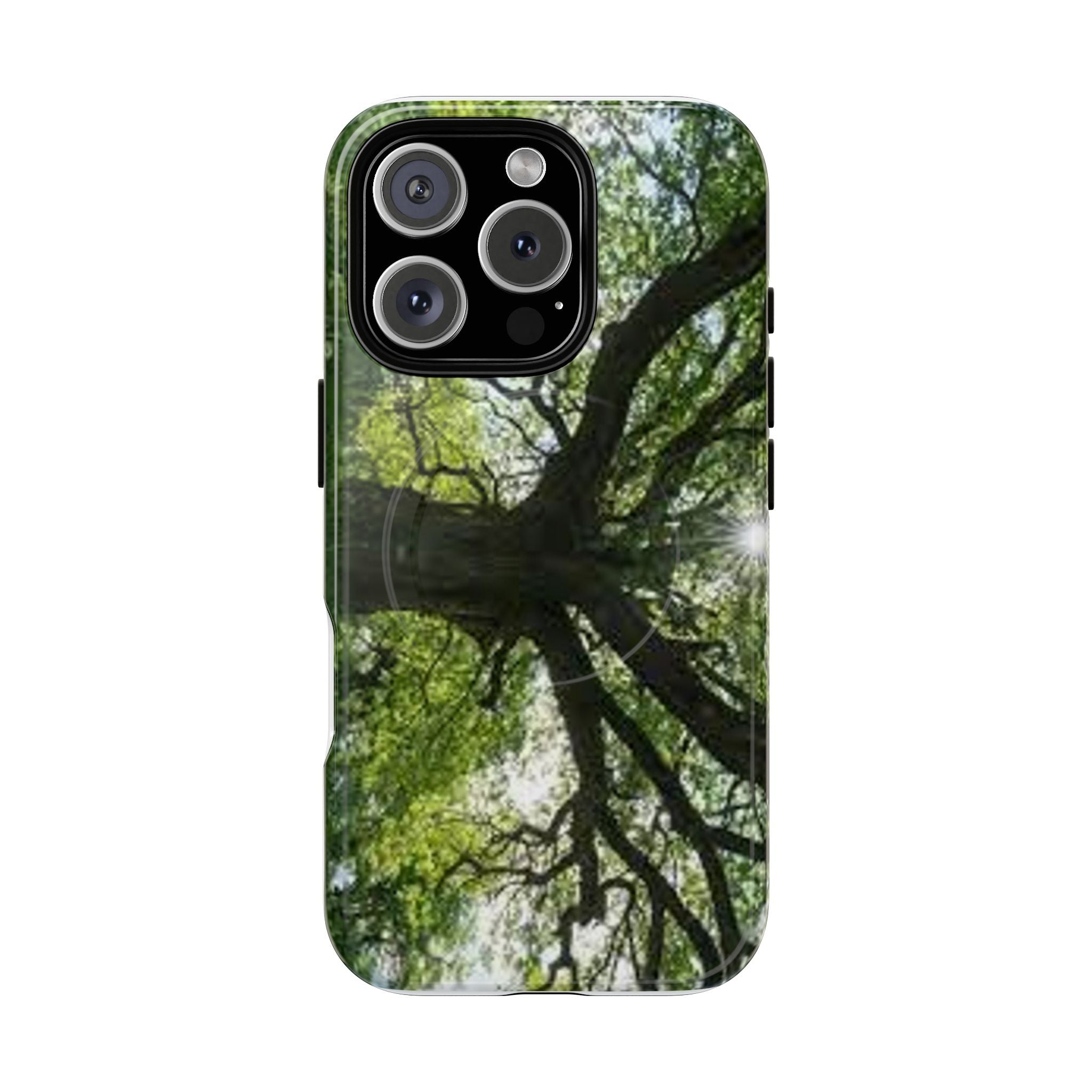 Sunlit Oak Tree Phone Case | Tough Magnetic Case
