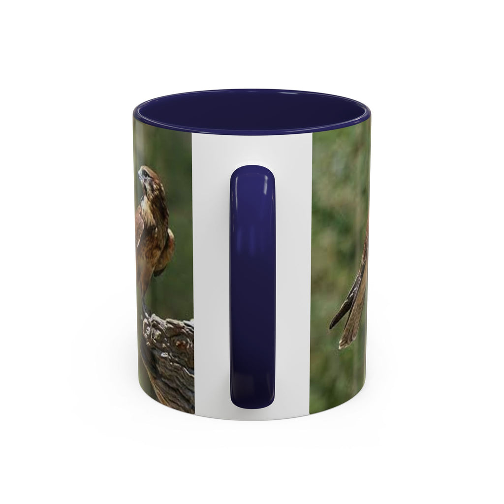 Kestrel Falcon Photo Mug | Accent Coffee Mug 11oz 15oz