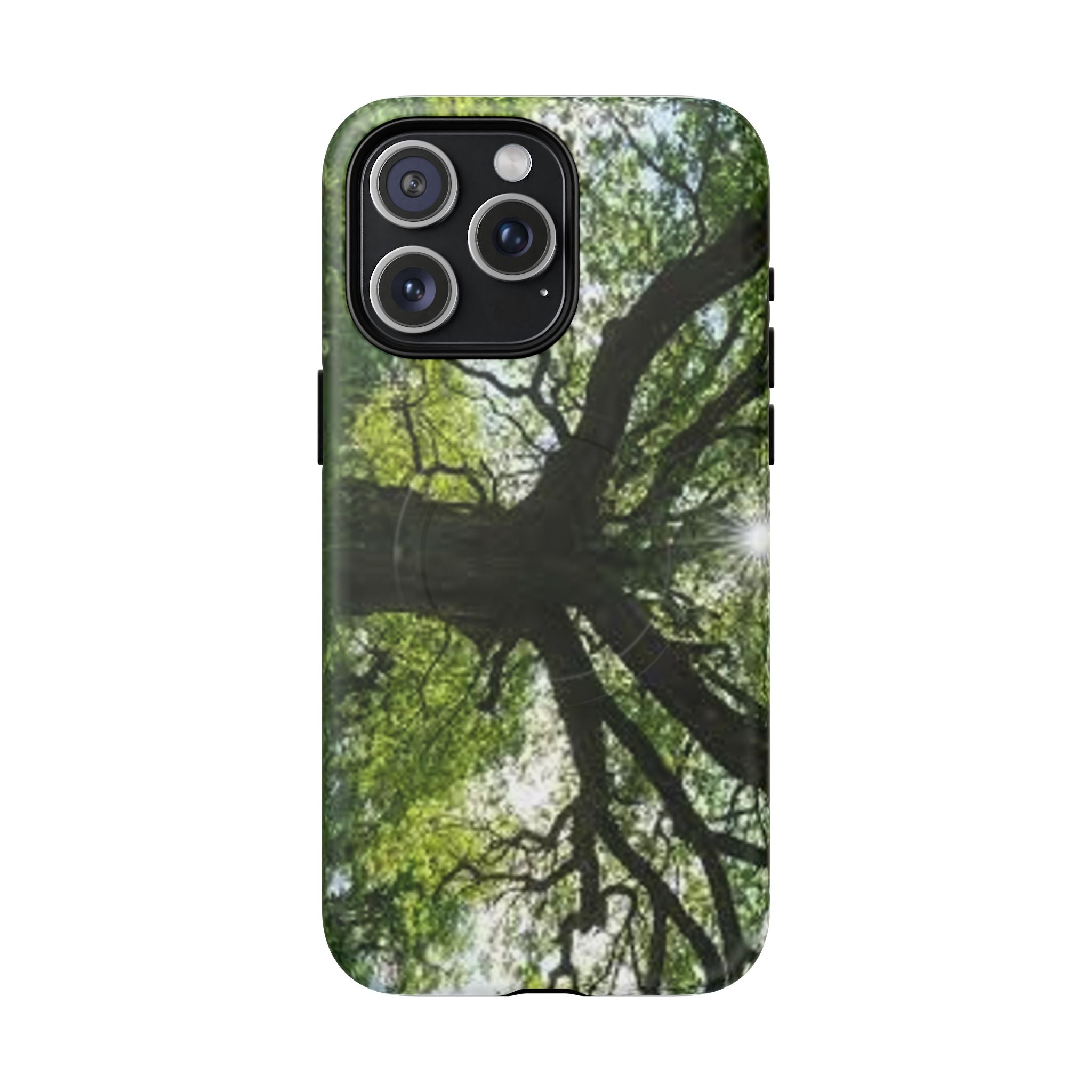Sunlit Oak Tree Phone Case | Tough Magnetic Case