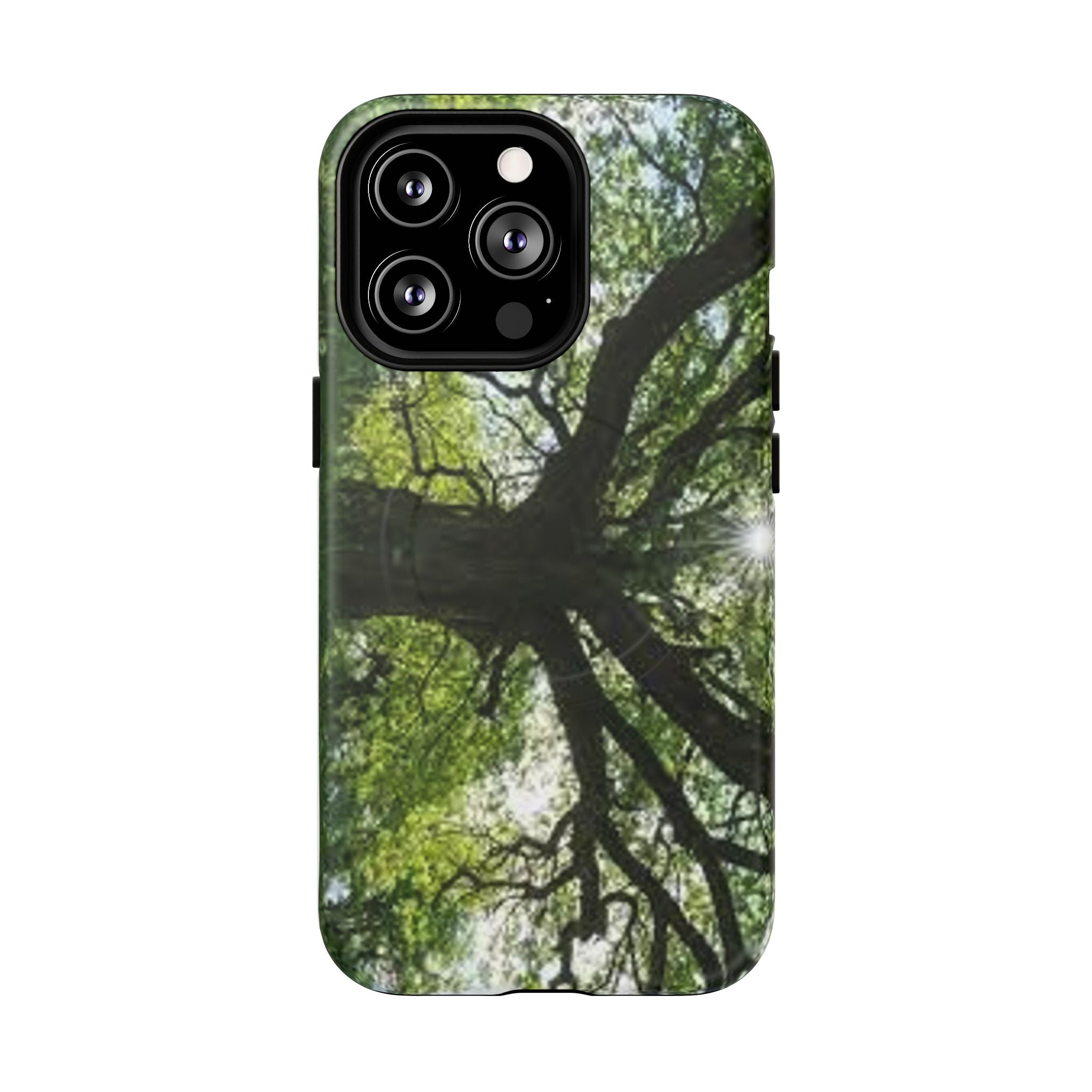 Sunlit Oak Tree Phone Case | Tough Magnetic Case