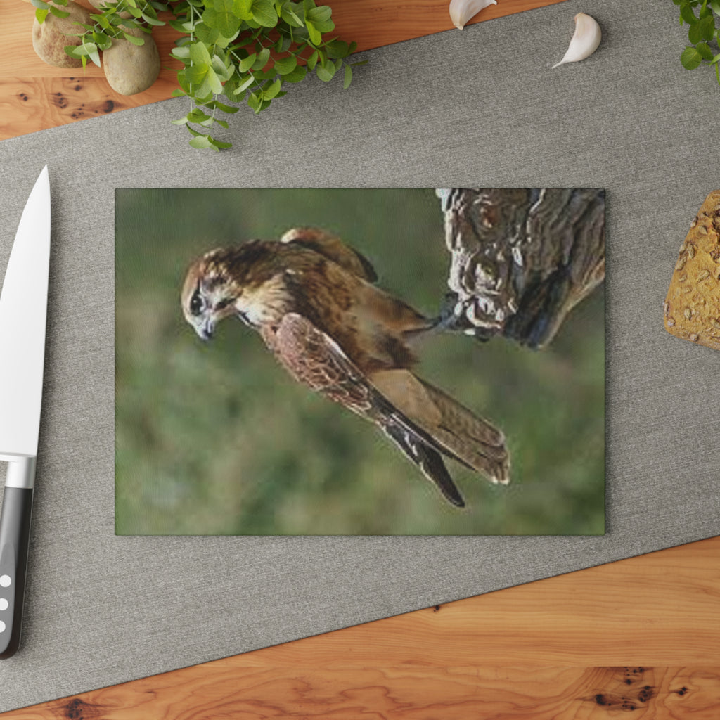 Kestrel Bird Glass Cutting Board | Wildlife Falconry Kitchen Decor