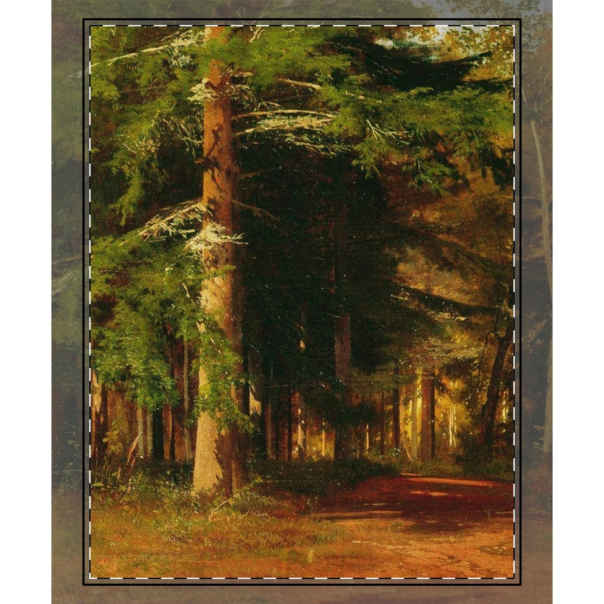 Couvre-lit tissé Chemin Forestier | Jeté Paysage d'Arbres de la Forêt