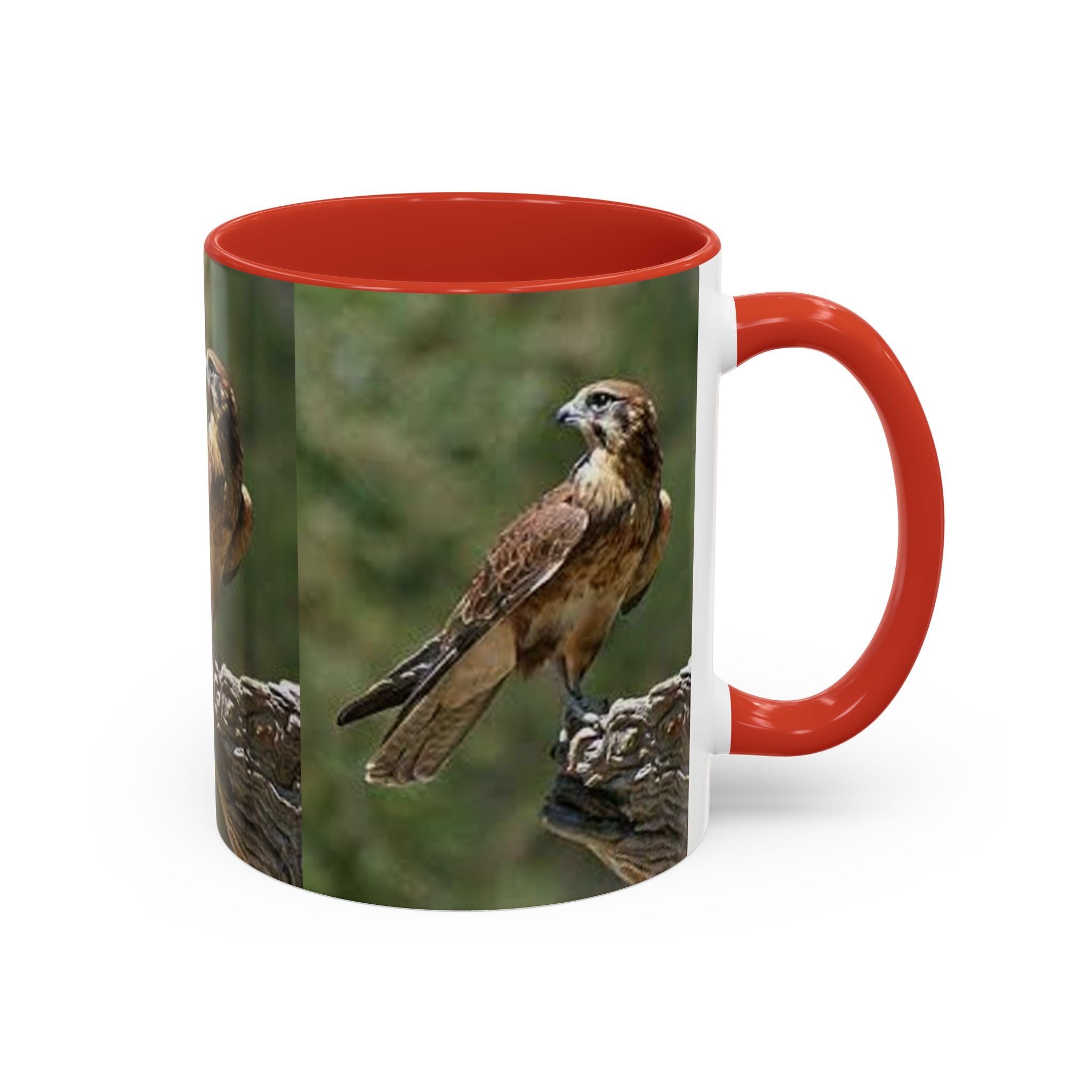 Kestrel Falcon Photo Mug | Accent Coffee Mug 11oz 15oz