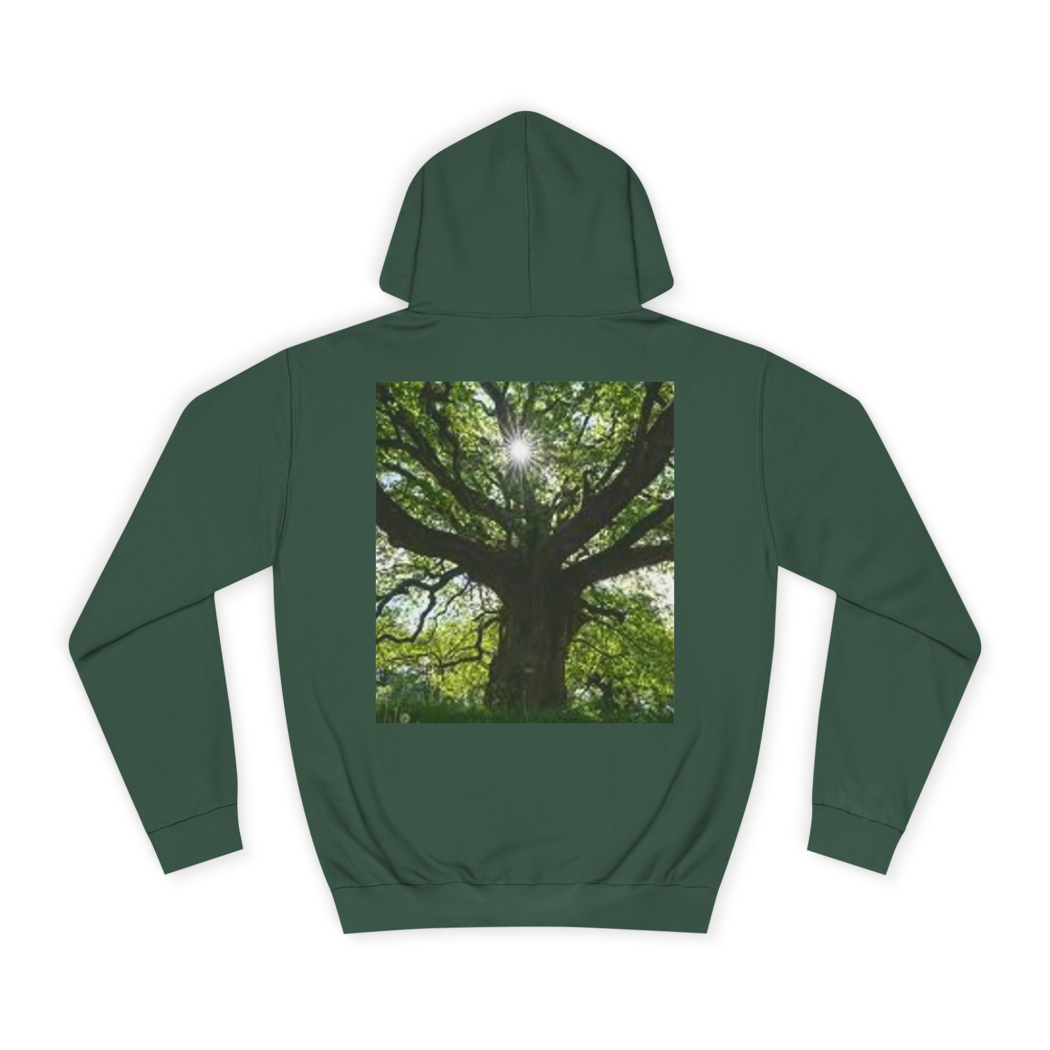 Sunlit Oak Tree Hoodie | Forest Nature Photography, Green Tree Sweatshirt