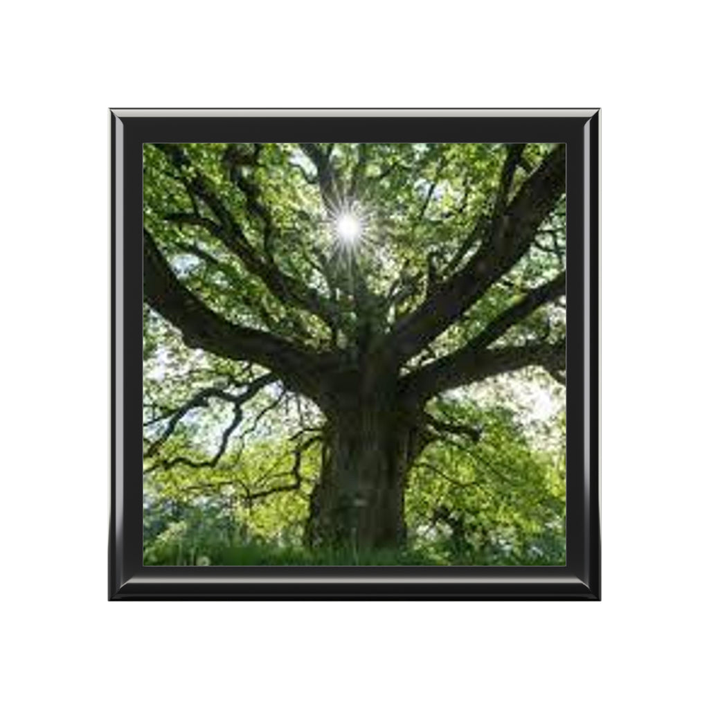 Sunlit Oak Tree Jewelry Box | Nature Woodland Keepsake