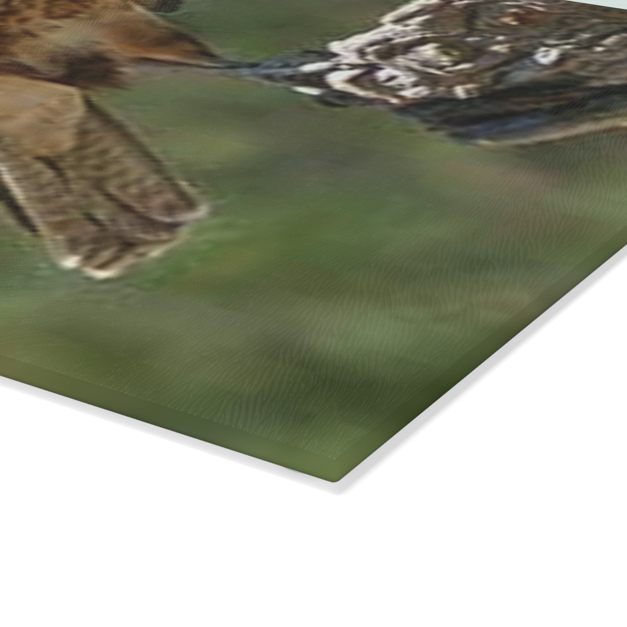 Kestrel Bird Glass Cutting Board | Wildlife Falconry Kitchen Decor